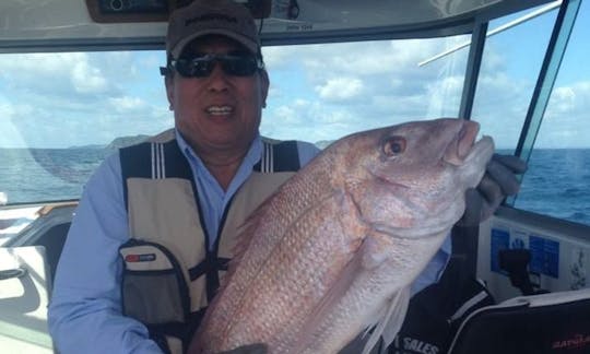 Enjoy Fishing in Auckland, New Zealand on 25' Cuddy Cabin