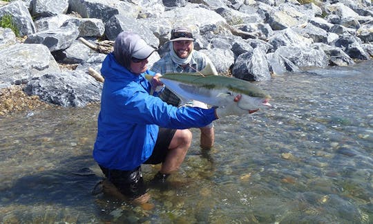 Enjoy Fly Fishing in Collingwood, Rockville Tasman