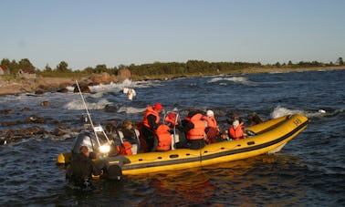 Profitez de voyages et de leçons de plongée à Tallinn, dans le comté de Harju