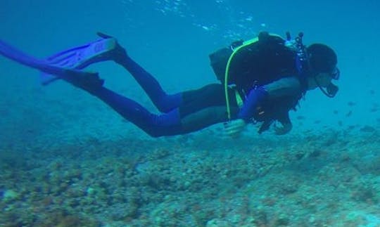 Enjoy Diving Trips in Grande Comore, Comors