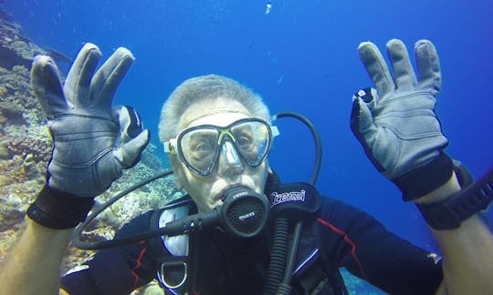 Enjoy Diving Trips in Grande Comore, Comors