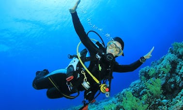 Increíbles viajes y cursos de buceo en Carvoeiro, Portugal