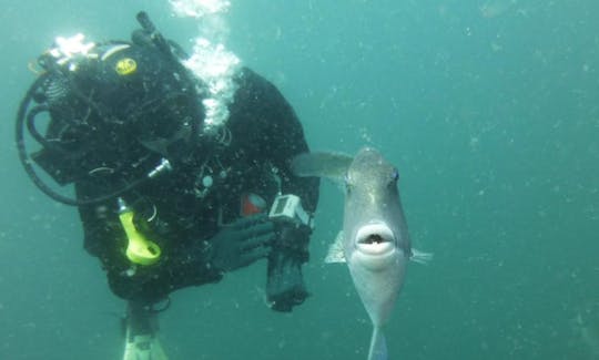 Des voyages et des cours de plongée incroyables à Carvoeiro, au Portugal