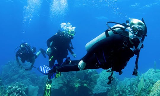 Enjoy Diving Courses in Sozopol, Bulgaria