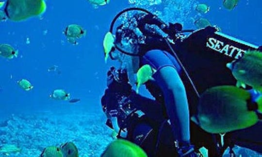 Enjoy Diving Courses in Sozopol, Bulgaria