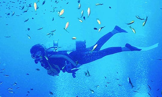 Enjoy Diving Courses in Sozopol, Bulgaria