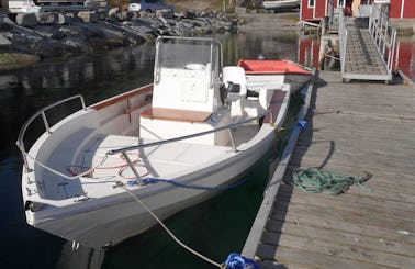 Enjoy Fishing in Mohelnice on 23' Center Console