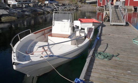 Enjoy Fishing in Mohelnice on 23' Center Console