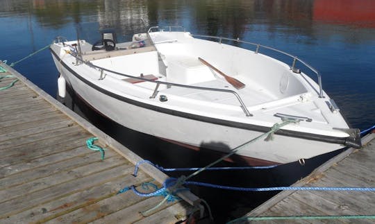 Enjoy Fishing in Mohelnice on 23' Center Console