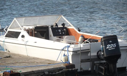 Profitez de la pêche à Mohelnice sur la console centrale de 23 pouces