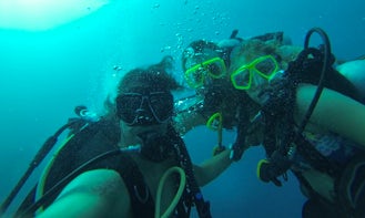Enjoy Diving in Oranjestad, Aruba