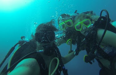 Enjoy Diving in Oranjestad, Aruba