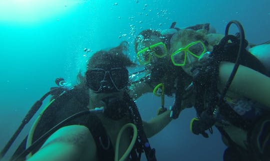 Enjoy Diving in Oranjestad, Aruba