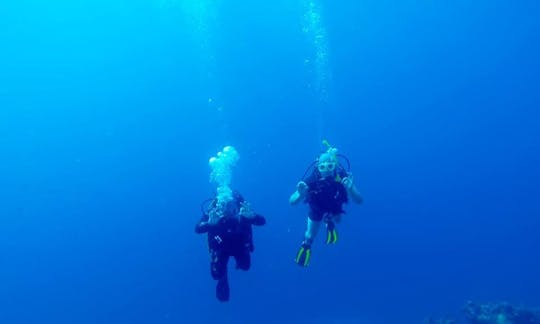 Enjoy Diving in Oranjestad, Aruba