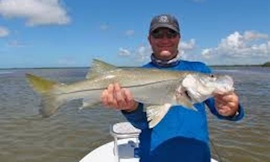 Enjoy Fishing in Finnmark, Norway on 20' Quicksilver 620 Pilothouse Cuddy Cabin