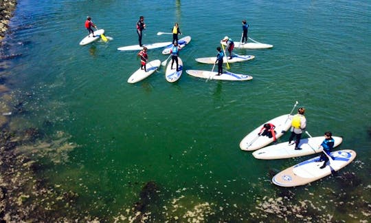 Rent a Stand Up Paddleboard in Landéda, France