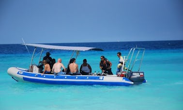 Great Prices For Diving in Kendwa, Tanzania