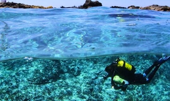 Enjoy Snorkeling Tours in Açores, Portugal