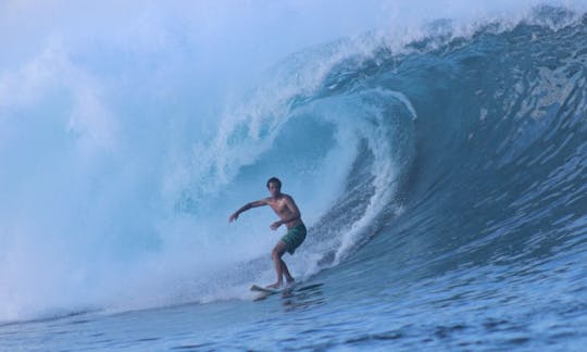 Disfruta de clases de surf en Ondres, Francia