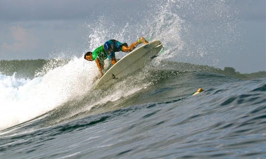 Disfruta de clases de surf en Ondres, Francia