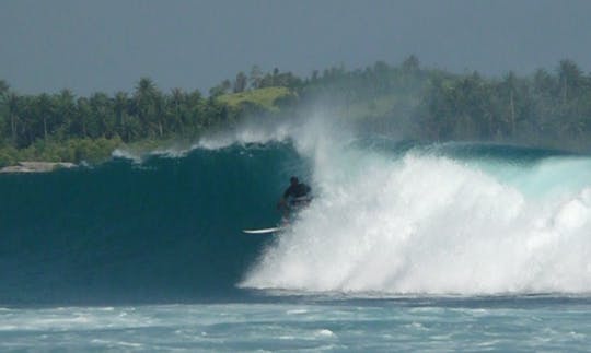 Disfruta de clases de surf en Ondres, Francia