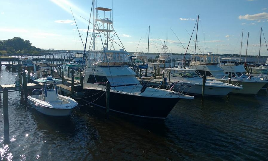 Biloxi Fishing Charter On 45' Hatteras Sportfishing Yacht With Captain ...