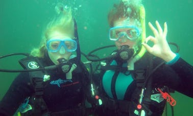 Cursos y excursiones de buceo para principiantes y avanzados en Noordhoek, Bloemfontein