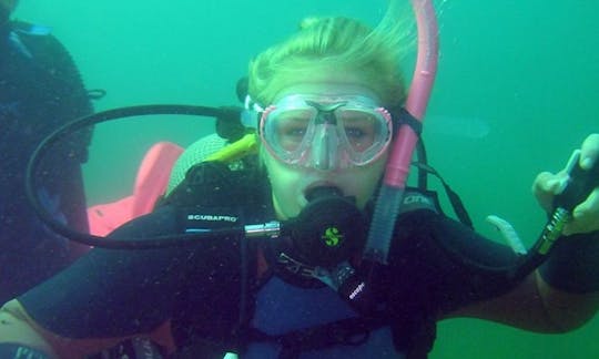 Cursos y excursiones de buceo para principiantes y avanzados en Noordhoek, Bloemfontein