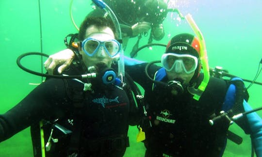 Cursos y excursiones de buceo para principiantes y avanzados en Noordhoek, Bloemfontein