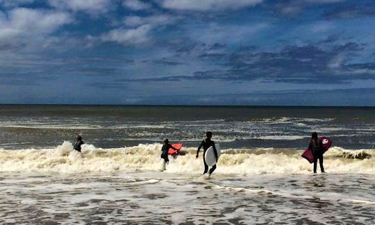Surf Lessons and Rentals in Noord-Holland, Netherlands