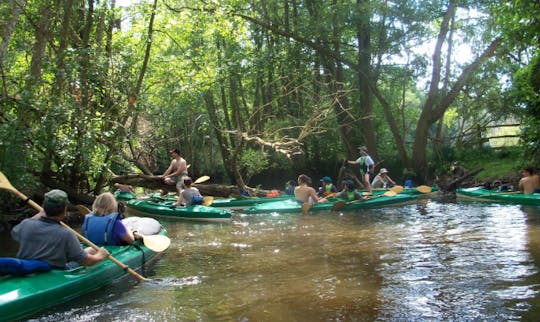 Double Kayak Rental in Kołbaskowo, Poland