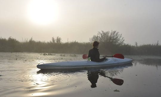 Daily Single Kayak Rental in Kołbaskowo, Poland