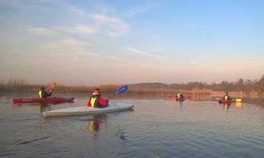 Daily Single Kayak Rental in Kołbaskowo, Poland