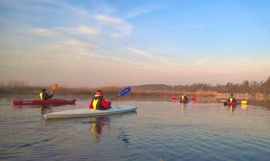 Daily Single Kayak Rental in Kołbaskowo, Poland
