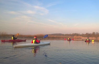 Daily Single Kayak Rental in Kołbaskowo, Poland