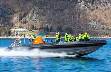 Charter a Rigid Inflatable Boat in Ålesund, Norway