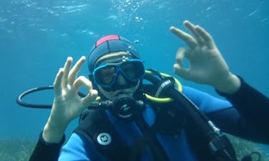 Enjoy Diving Trips and Lessons in La Seyne-Sur-Mer, France