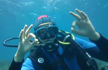 Enjoy Diving Trips and Lessons in La Seyne-Sur-Mer, France