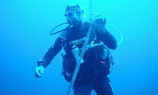 Enjoy Diving Trips and Lessons in La Seyne-Sur-Mer, France