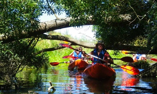 Enjoy Kayak Tour in Vila Nova de Cerveira, Portugal
