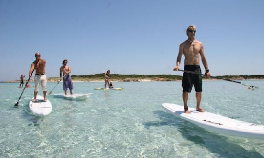 Enjoy Paddleboard Rentals and Trips in Carqueiranne, France