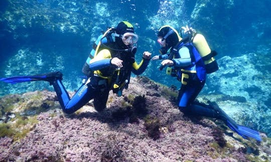 Divertidos y emocionantes cursos de buceo PADI en Elbląg, Polonia