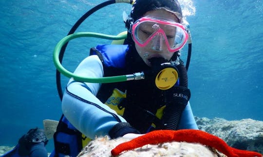 Divertidos y emocionantes cursos de buceo PADI en Elbląg, Polonia