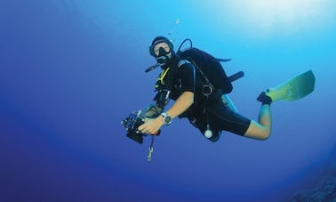 Enjoy Diving in Sharm el-Sheikh, Egypt