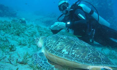 Disfruta de clases de buceo en Meise, Bélgica