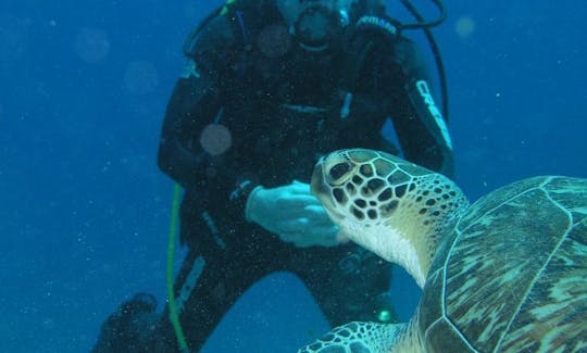Enjoy Diving Lessons in Meise, Belgium