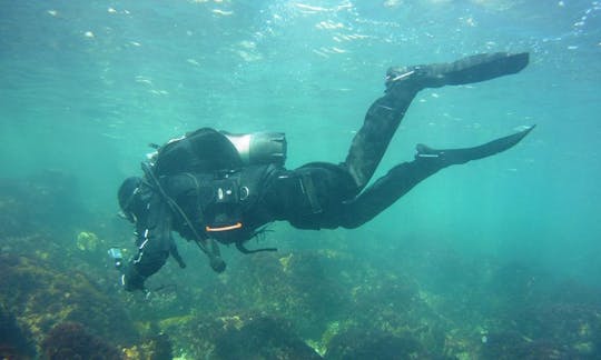 Disfruta de viajes de buceo en Dobrich, Bulgaria