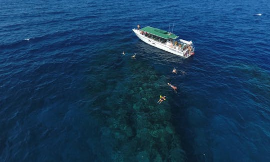 Half Day Snorkel from Kaanapali Beach to the Island of Lanai - 2 snorkel stops