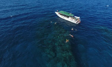 カアナパリ・ビーチからラナイ島までの半日シュノーケリングツアー