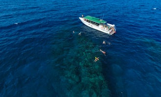 1/2 Day Snorkel Trips To Lanai From Kaanapali Beach